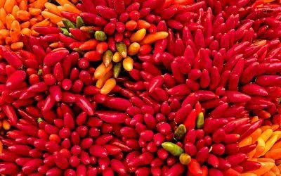 Perú: viaje de 10 días a través de sus ajíes y sabores regionales